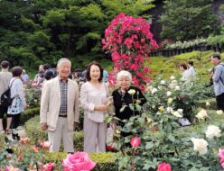旧古河庭園